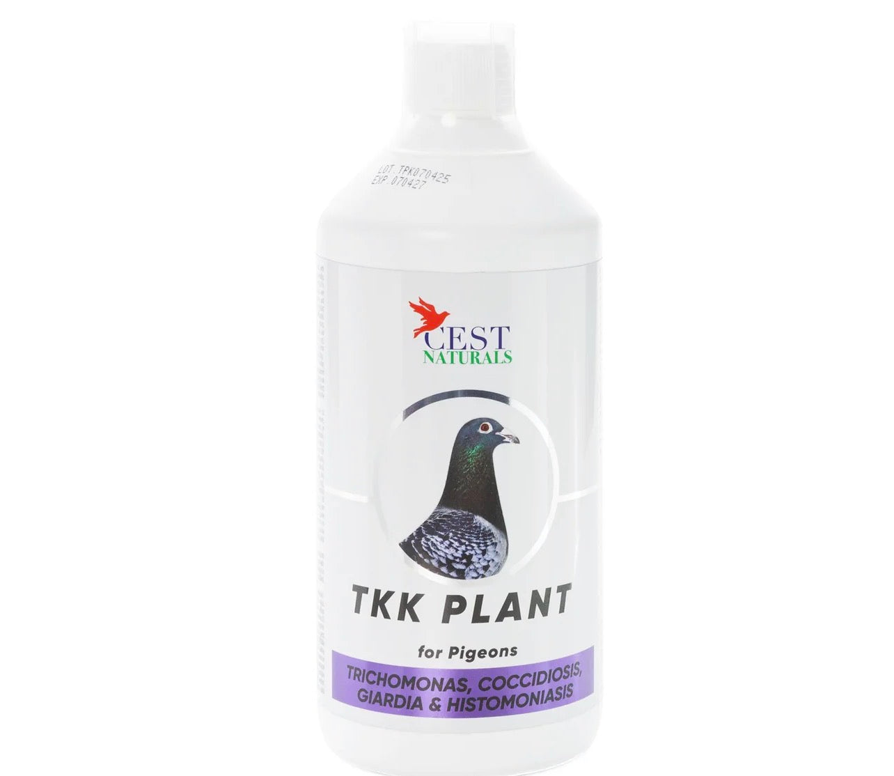 Cest Pharma TKK Plant – All-Natural Solution for Pigeon Diseases