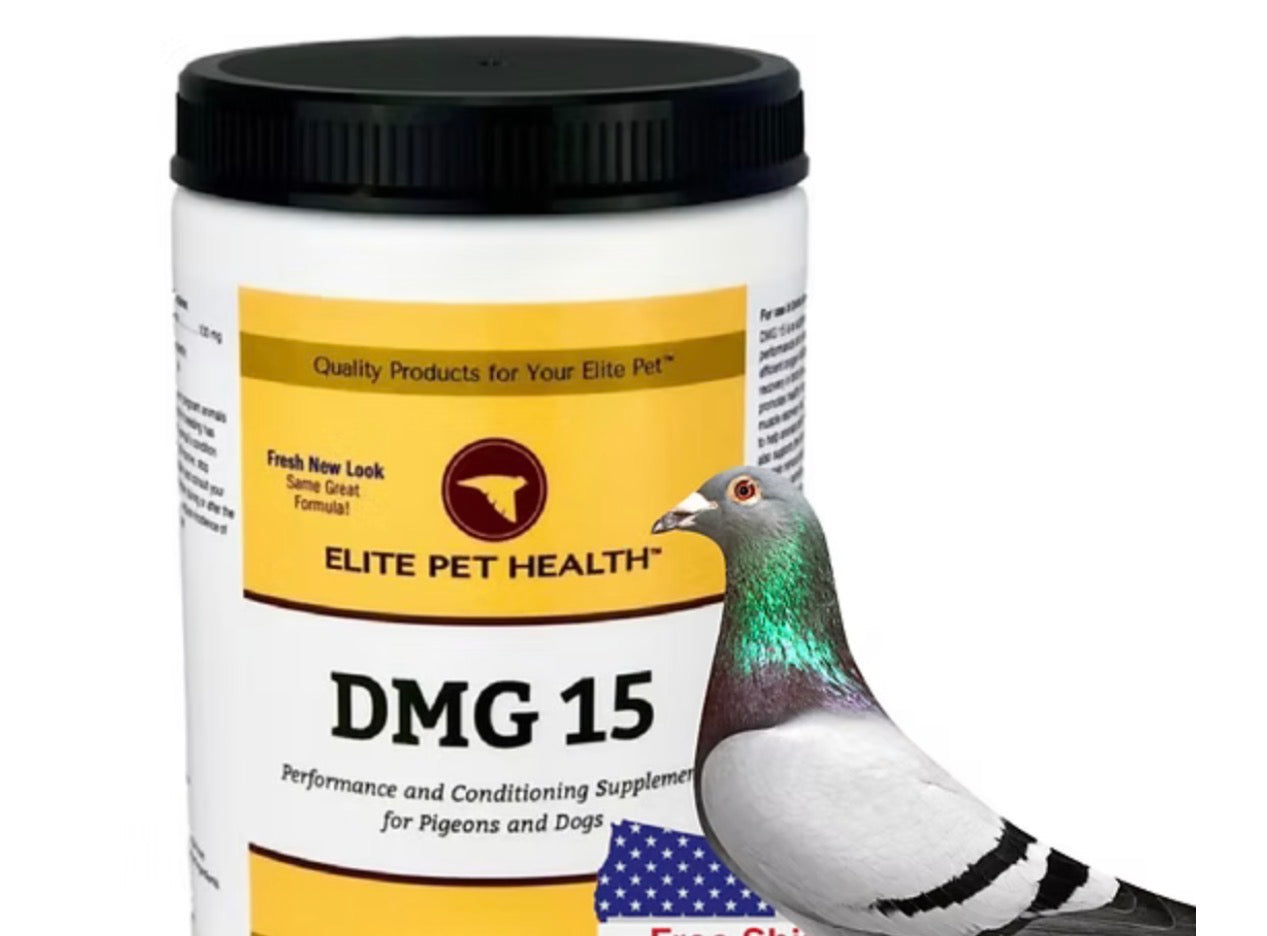 DMG 15 Powerful Racing Pigeon Supplement for Enhanced Performance