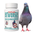 DEWORMX DEWORMER for Pigeons, Doves, Rollers
