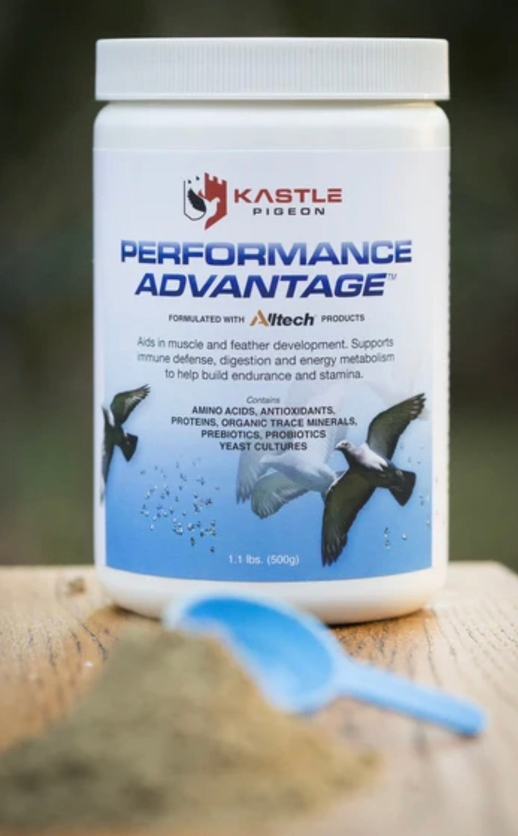 Performance Advantage for Pigeons
