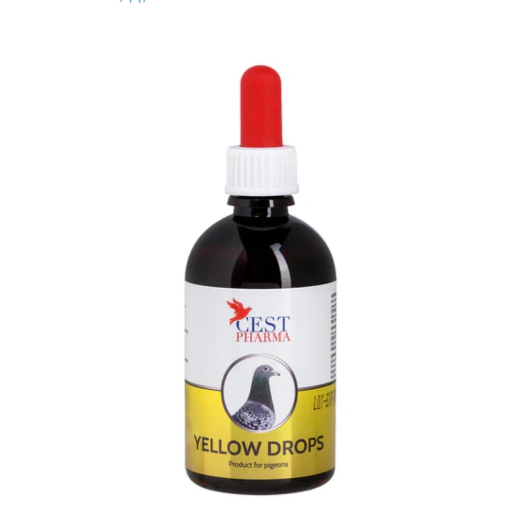 Cest Yellow Drops for Pigeons – Elimina hongos, cancros y bacterias