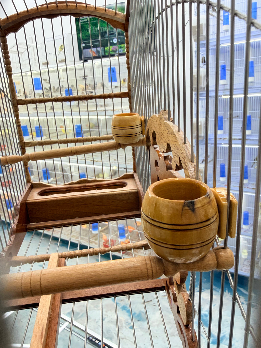 Tasa de madera para calcio de canarios o finches