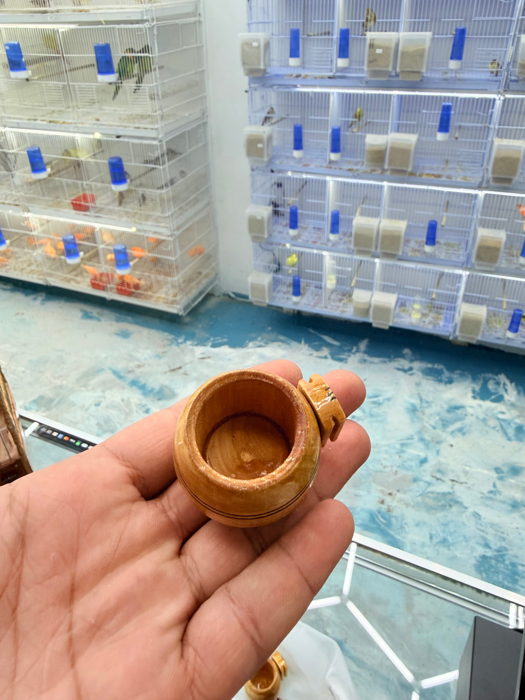 Tasa de madera para calcio de canarios o finches