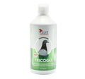 Toda la prevención natural de cancro, cocos y hongos en aves
