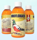 Enrofloxacin 20% Liquid for Birds (Generic Baytril)