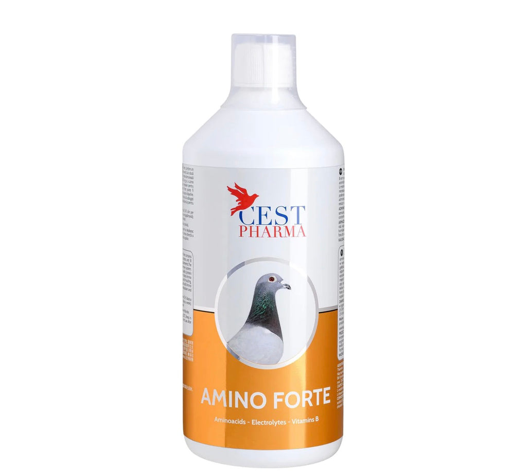 Amino forte