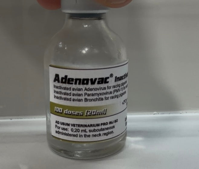 Adenovac