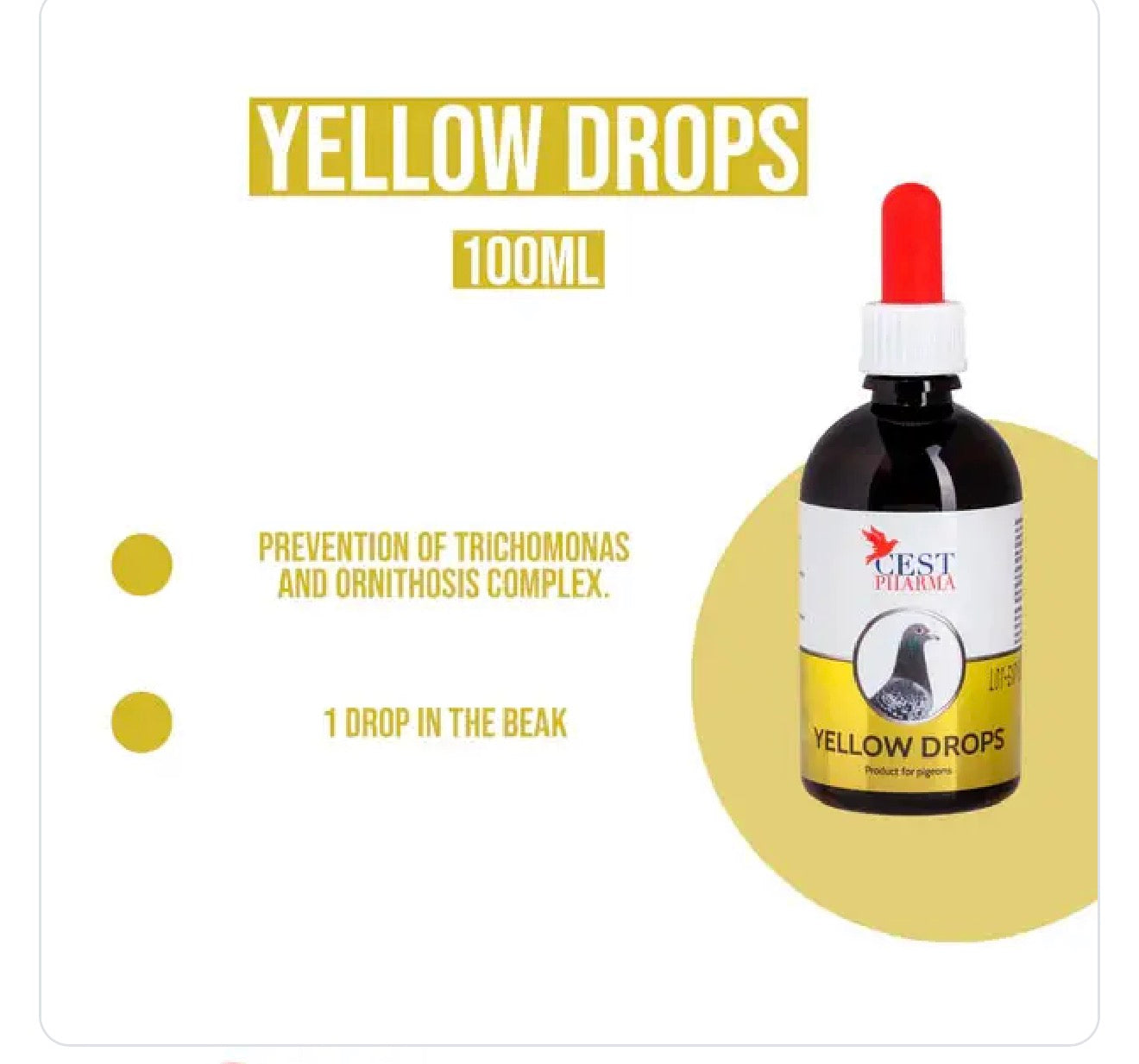 Cest Yellow Drops for Pigeons – Elimina hongos, cancros y bacterias